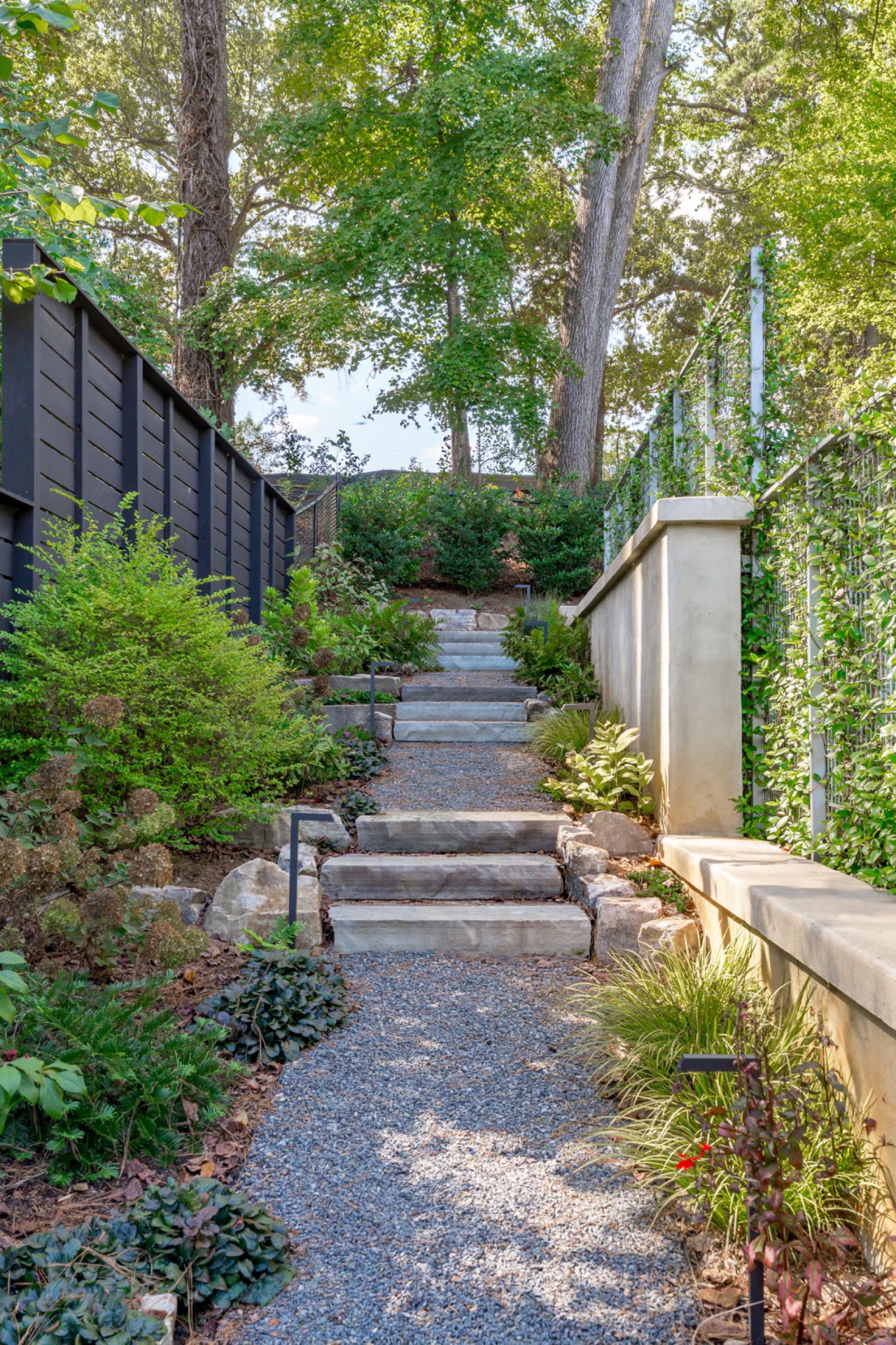 Photo showing Mayview project in Raleigh